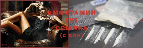 стаф Гусь-Хрустальный