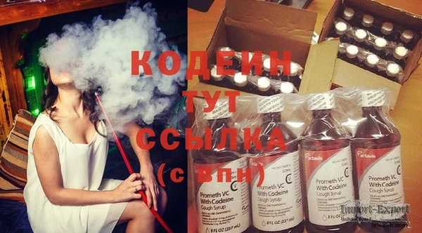 стаф Гусь-Хрустальный