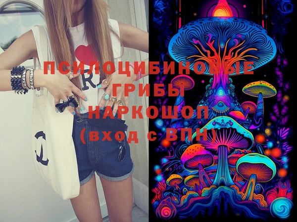 прущий лед Гусиноозёрск