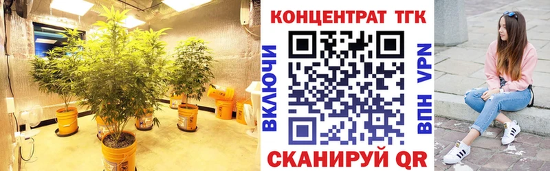 Купить  Долгопрудный  Дистиллят ТГК Wax 