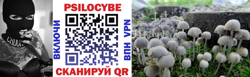 Купить где  Долгопрудный  Галлюциногенные грибы Psilocybe 